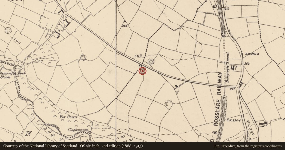 Ordnance Survey six-inch map, 2nd edition (1888–1915) covering the location of Ringfort - rath, Ballyvoyle, County Waterford, with a pin at the register's coordinates