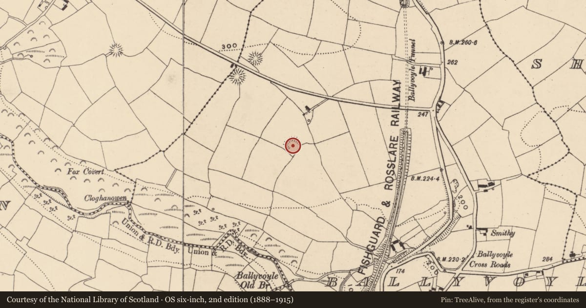 Ordnance Survey six-inch map, 2nd edition (1888–1915) covering the location of Ringfort - rath, Ballyvoyle, County Waterford, with a pin at the register's coordinates