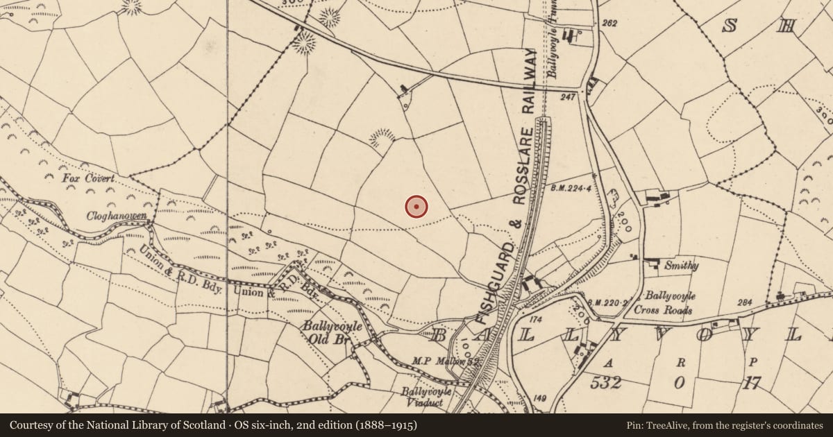 Ordnance Survey six-inch map, 2nd edition (1888–1915) covering the location of Standing stone, Ballyvoyle, County Waterford, with a pin at the register's coordinates