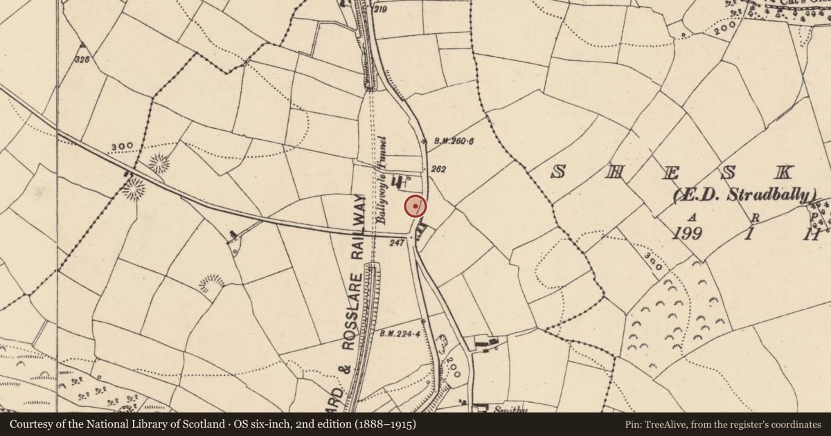 Ordnance Survey six-inch map, 2nd edition (1888–1915) covering the location of Barrow - mound barrow, Ballyvoyle, County Waterford, with a pin at the register's coordinates
