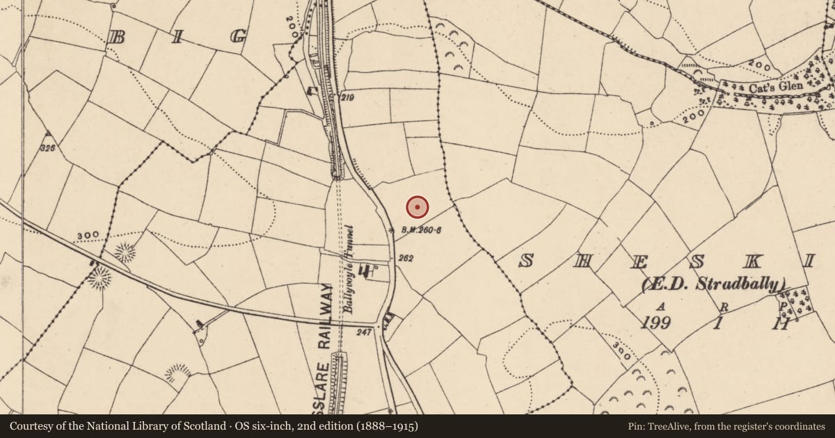 Ordnance Survey six-inch map, 2nd edition (1888–1915) covering the location of Standing stone, Ballyvoyle, County Waterford, with a pin at the register's coordinates