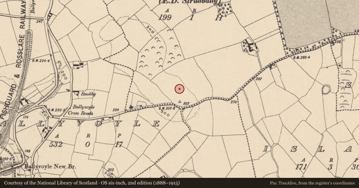 Ordnance Survey six-inch map, 2nd edition (1888–1915) covering the location of Standing stone, Sheskin (Decies without Drum By., Stradbally Par.), County Waterford, with a pin at the register's coordinates