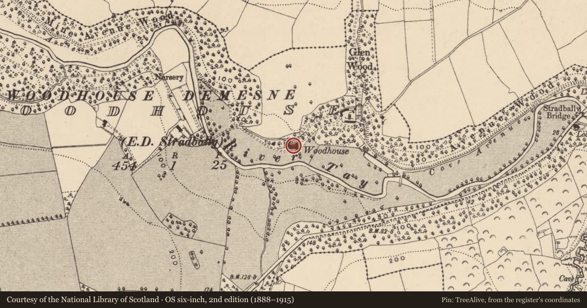 Ordnance Survey six-inch map, 2nd edition (1888–1915) covering the location of House - 16th/17th century, Woodhouse (Decies without Drum By., Stradbally Par.), County Waterford, with a pin at the register's coordinates