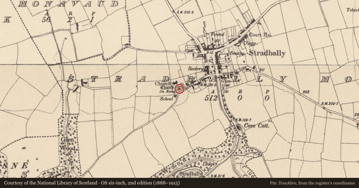Ordnance Survey six-inch map, 2nd edition (1888–1915) covering the location of Graveyard, Stradbally More, County Waterford, with a pin at the register's coordinates