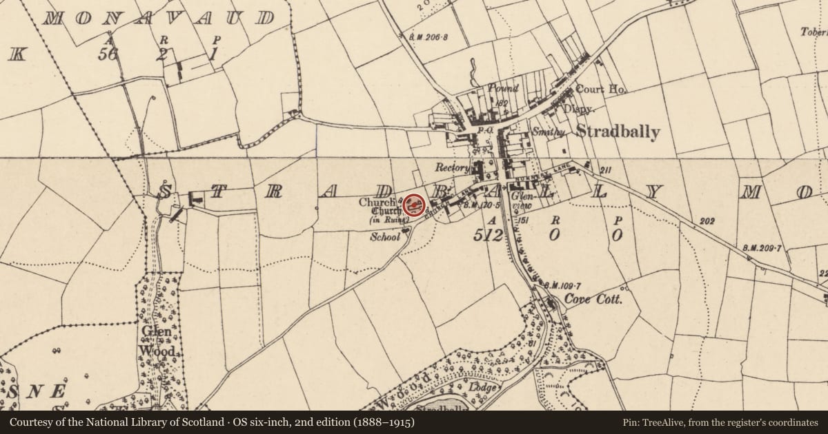 Ordnance Survey six-inch map, 2nd edition (1888–1915) covering the location of Graveslab, Stradbally More, County Waterford, with a pin at the register's coordinates