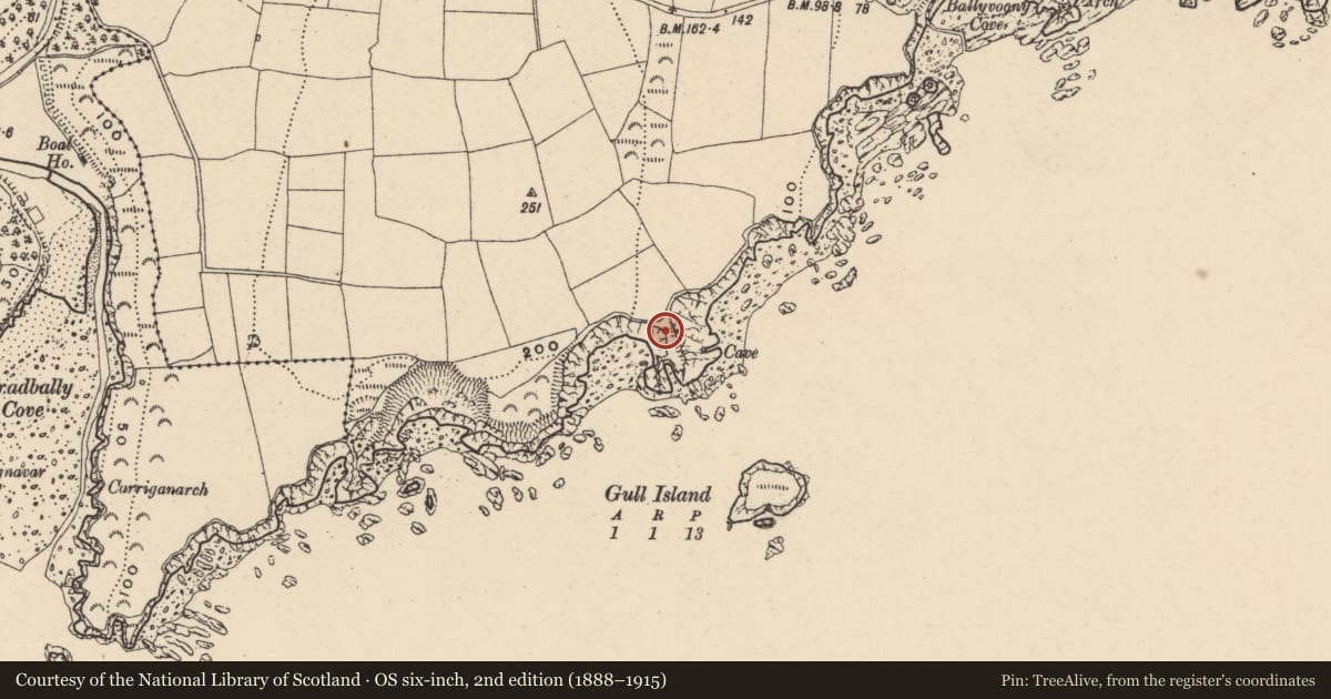 Ordnance Survey six-inch map, 2nd edition (1888–1915) covering the location of Promontory fort - coastal, Stradbally More, County Waterford, with a pin at the register's coordinates