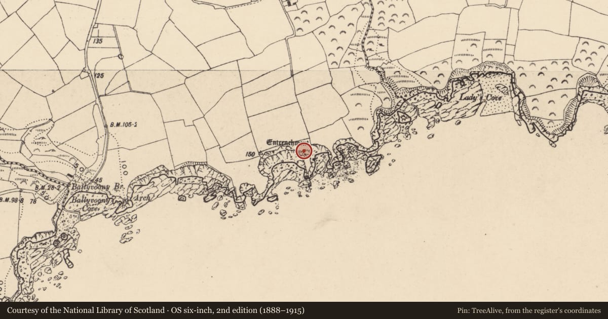 Ordnance Survey six-inch map, 2nd edition (1888–1915) covering the location of Promontory fort - coastal, Ballyvoony, County Waterford, with a pin at the register's coordinates
