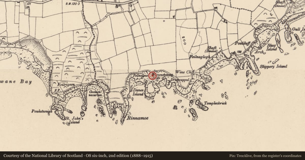 Ordnance Survey six-inch map, 2nd edition (1888–1915) covering the location of Mine, Ballynarrid, County Waterford, with a pin at the register's coordinates