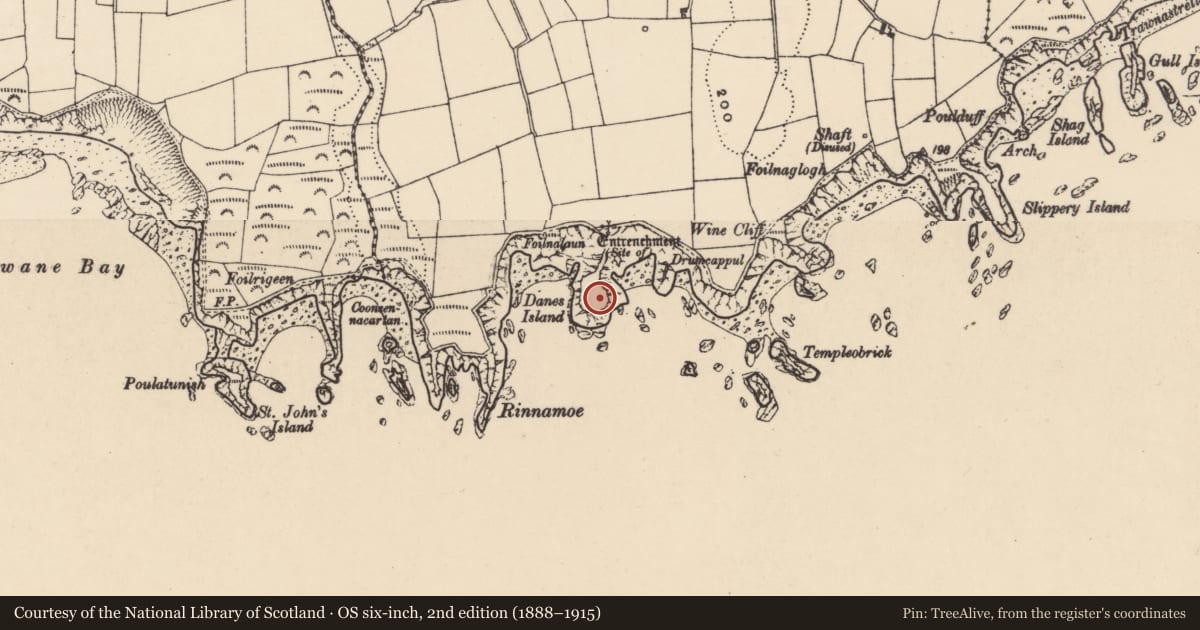 Ordnance Survey six-inch map, 2nd edition (1888–1915) covering the location of Hut site, Ballynarrid, County Waterford, with a pin at the register's coordinates