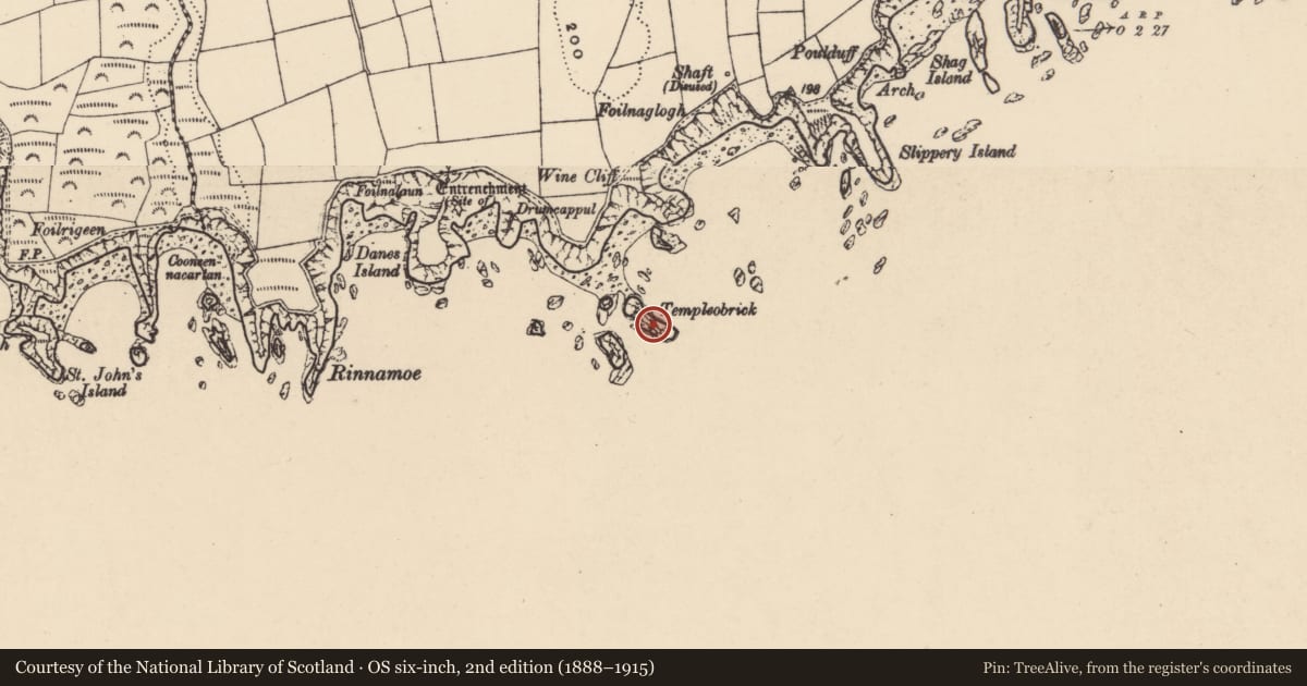 Ordnance Survey six-inch map, 2nd edition (1888–1915) covering the location of Church, Ballynarrid, County Waterford, with a pin at the register's coordinates
