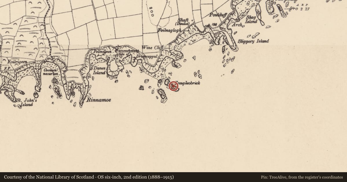 Ordnance Survey six-inch map, 2nd edition (1888–1915) covering the location of Building, Ballynarrid, County Waterford, with a pin at the register's coordinates