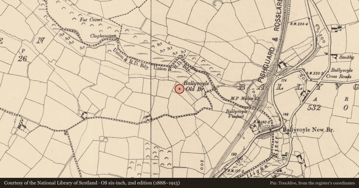 Ordnance Survey six-inch map, 2nd edition (1888–1915) covering the location of Graveyard, Glen, County Waterford, with a pin at the register's coordinates