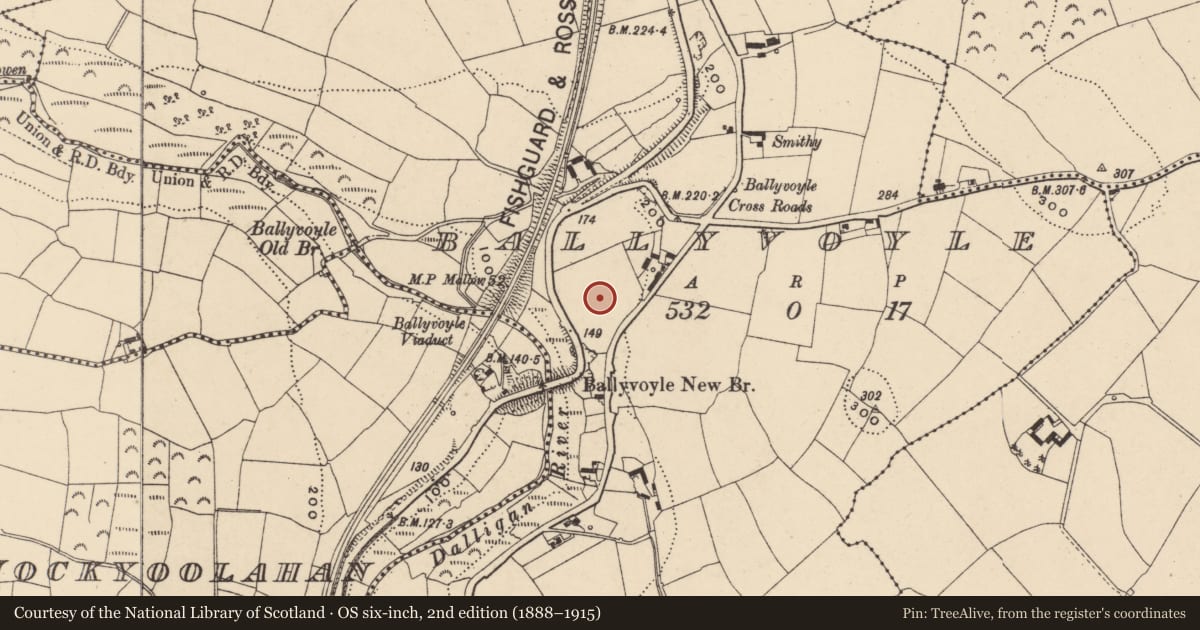 Ordnance Survey six-inch map, 2nd edition (1888–1915) covering the location of Burial, Ballyvoyle, County Waterford, with a pin at the register's coordinates