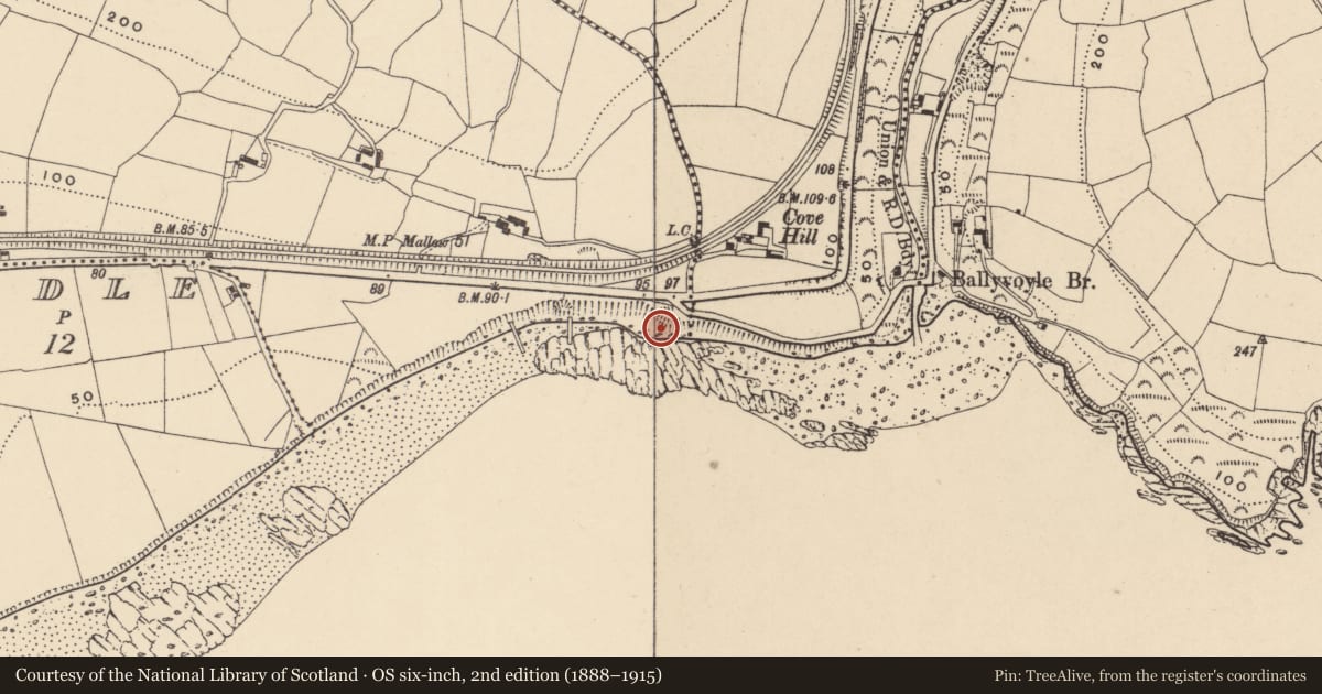 Ordnance Survey six-inch map, 2nd edition (1888–1915) covering the location of Burial, Knockyoolahan West, County Waterford, with a pin at the register's coordinates