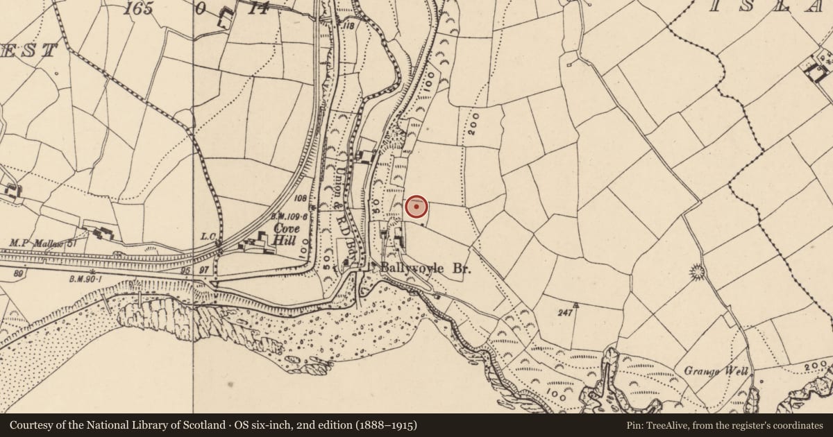 Ordnance Survey six-inch map, 2nd edition (1888–1915) covering the location of Cairn - unclassified, Ballyvoyle, County Waterford, with a pin at the register's coordinates