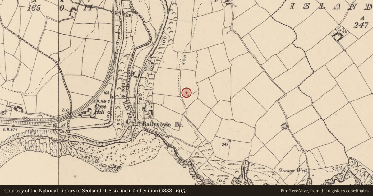 Ordnance Survey six-inch map, 2nd edition (1888–1915) covering the location of Cairn - unclassified, Ballyvoyle, County Waterford, with a pin at the register's coordinates