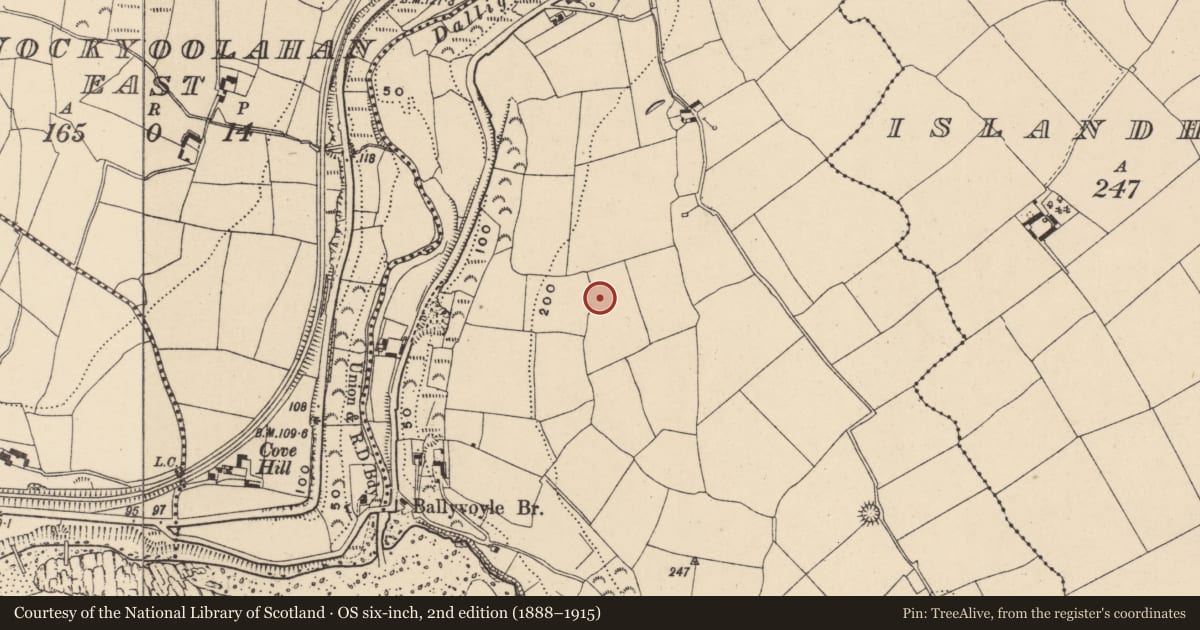 Ordnance Survey six-inch map, 2nd edition (1888–1915) covering the location of Ringfort - unclassified, Ballyvoyle, County Waterford, with a pin at the register's coordinates