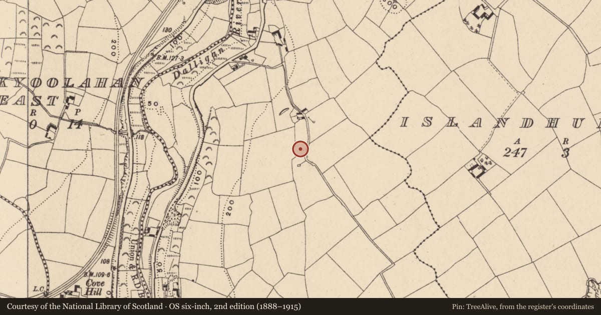 Ordnance Survey six-inch map, 2nd edition (1888–1915) covering the location of Ringfort - unclassified, Ballyvoyle, County Waterford, with a pin at the register's coordinates