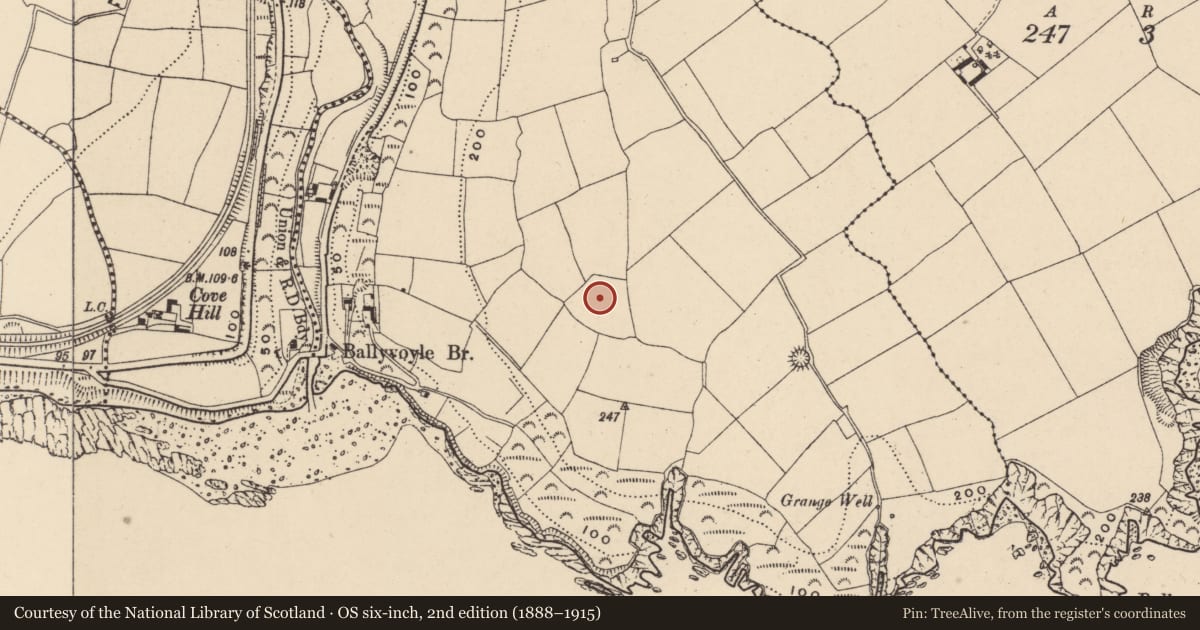 Ordnance Survey six-inch map, 2nd edition (1888–1915) covering the location of Ringfort - unclassified, Ballyvoyle, County Waterford, with a pin at the register's coordinates
