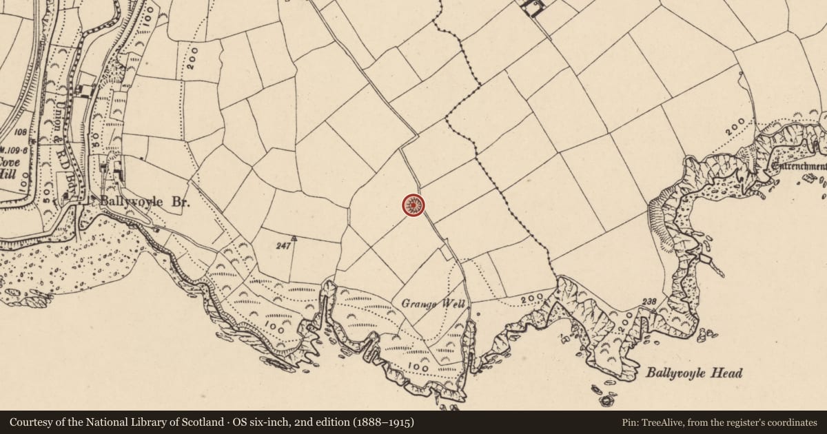 Ordnance Survey six-inch map, 2nd edition (1888–1915) covering the location of Ringfort - rath, Ballyvoyle, County Waterford, with a pin at the register's coordinates