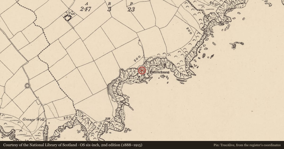 Ordnance Survey six-inch map, 2nd edition (1888–1915) covering the location of Promontory fort - coastal, Islandhubbock, County Waterford, with a pin at the register's coordinates