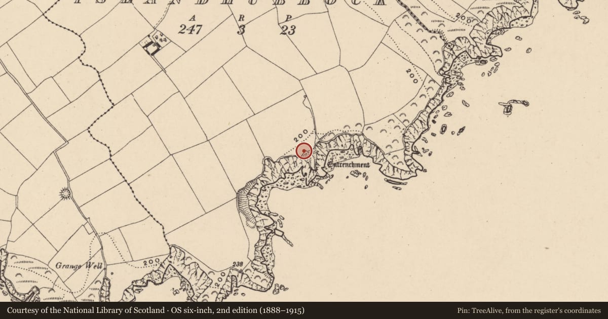 Ordnance Survey six-inch map, 2nd edition (1888–1915) covering the location of Inscribed stone, Islandhubbock, County Waterford, with a pin at the register's coordinates