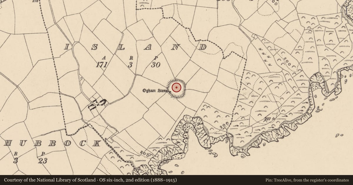 Ordnance Survey six-inch map, 2nd edition (1888–1915) covering the location of Ecclesiastical enclosure, Island, County Waterford, with a pin at the register's coordinates