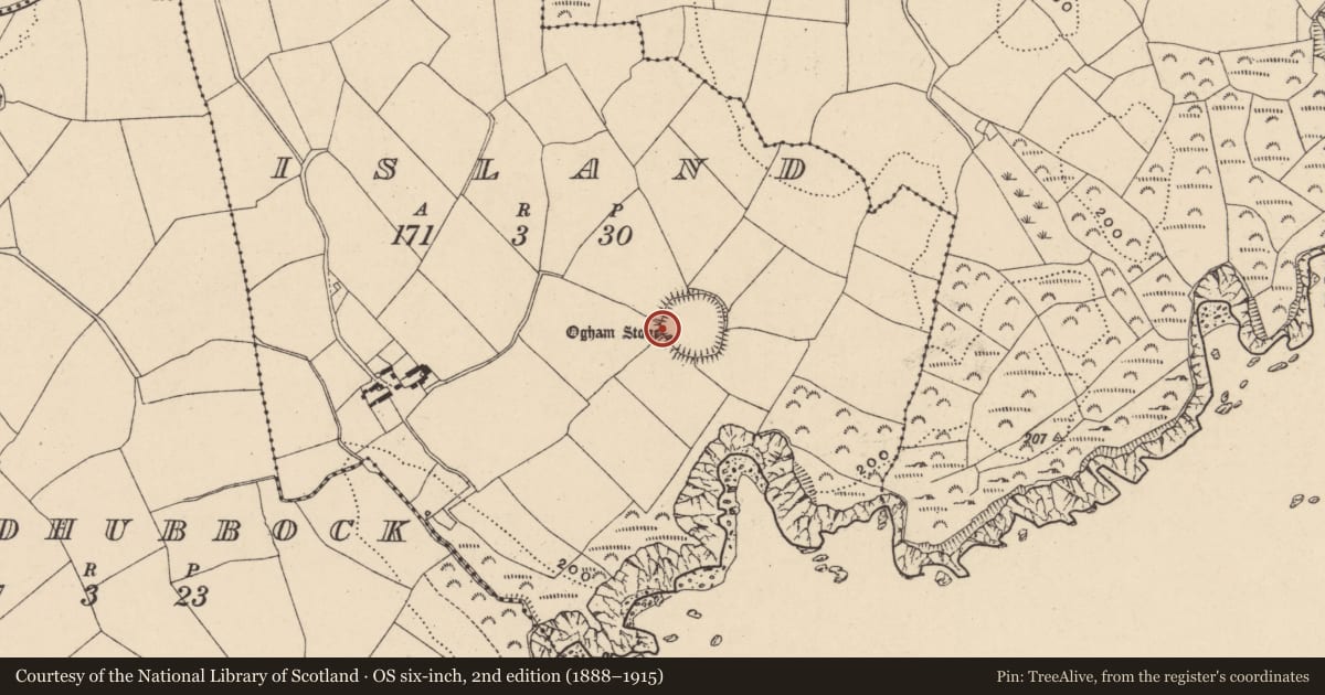Ordnance Survey six-inch map, 2nd edition (1888–1915) covering the location of Cross-inscribed stone, Island, County Waterford, with a pin at the register's coordinates