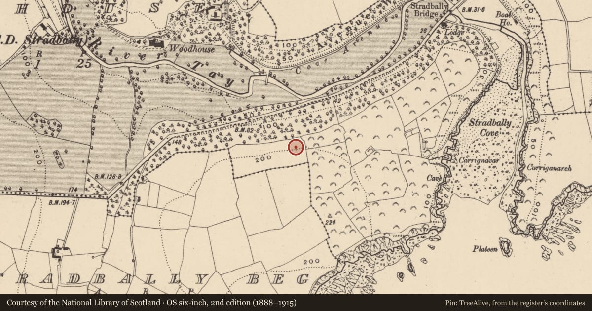 Ordnance Survey six-inch map, 2nd edition (1888–1915) covering the location of Souterrain, Woodhouse (Decies without Drum By., Stradbally Par.), County Waterford, with a pin at the register's coordinates
