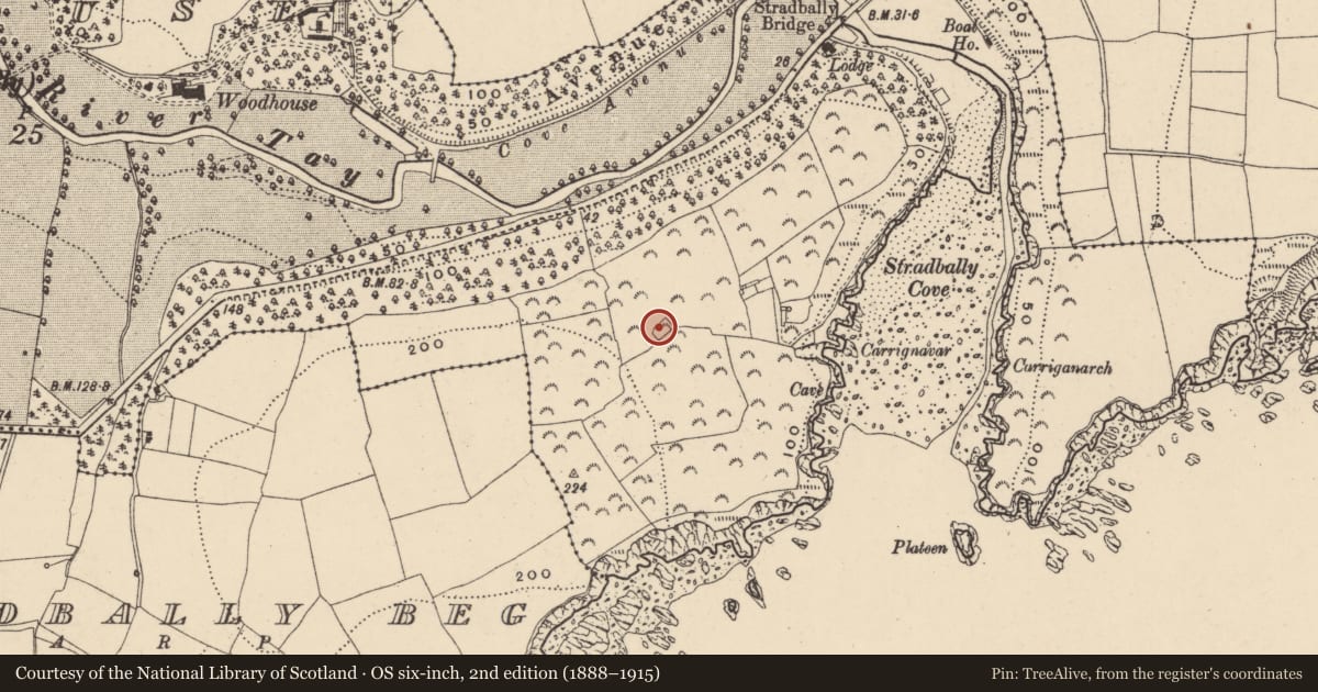 Ordnance Survey six-inch map, 2nd edition (1888–1915) covering the location of Enclosure, Woodhouse (Decies without Drum By., Stradbally Par.), County Waterford, with a pin at the register's coordinates