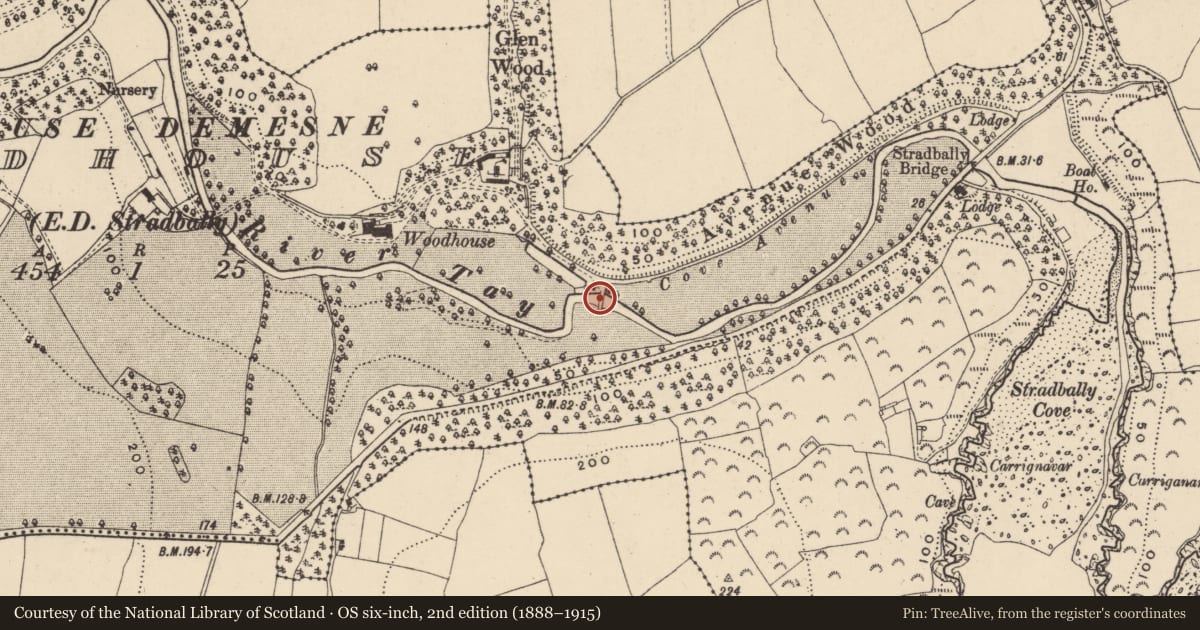 Ordnance Survey six-inch map, 2nd edition (1888–1915) covering the location of Bridge, Woodhouse (Decies without Drum By., Stradbally Par.), County Waterford, with a pin at the register's coordinates