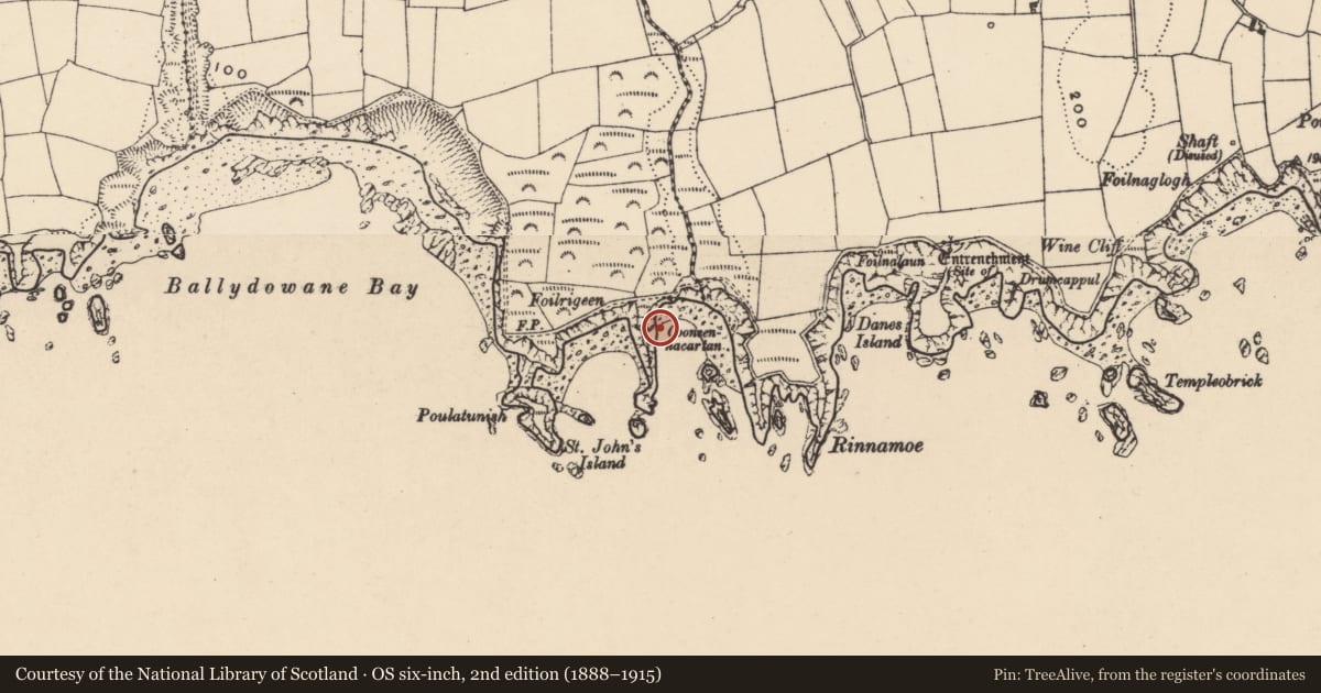 Ordnance Survey six-inch map, 2nd edition (1888–1915) covering the location of Promontory fort - coastal, Ballydowane East, County Waterford, with a pin at the register's coordinates