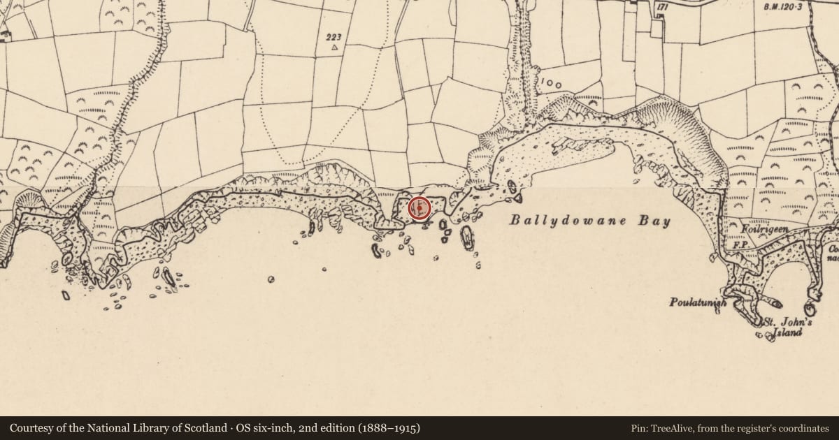Ordnance Survey six-inch map, 2nd edition (1888–1915) covering the location of Promontory fort - coastal, Ballydowane West, County Waterford, with a pin at the register's coordinates
