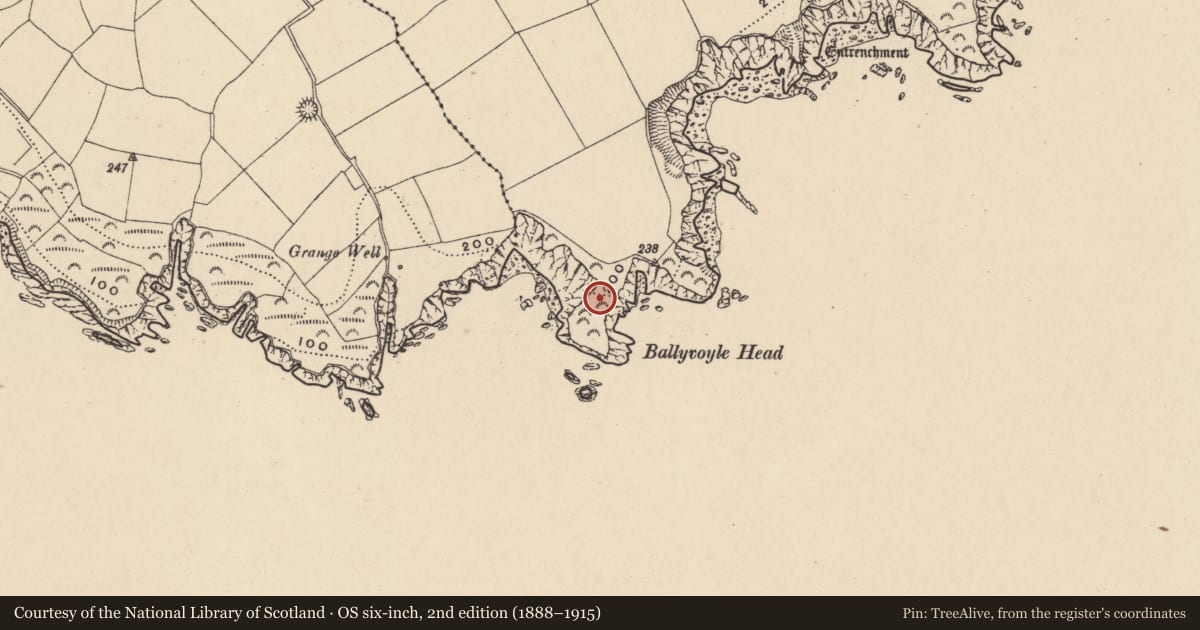 Ordnance Survey six-inch map, 2nd edition (1888–1915) covering the location of Promontory fort - coastal, Islandhubbock, County Waterford, with a pin at the register's coordinates