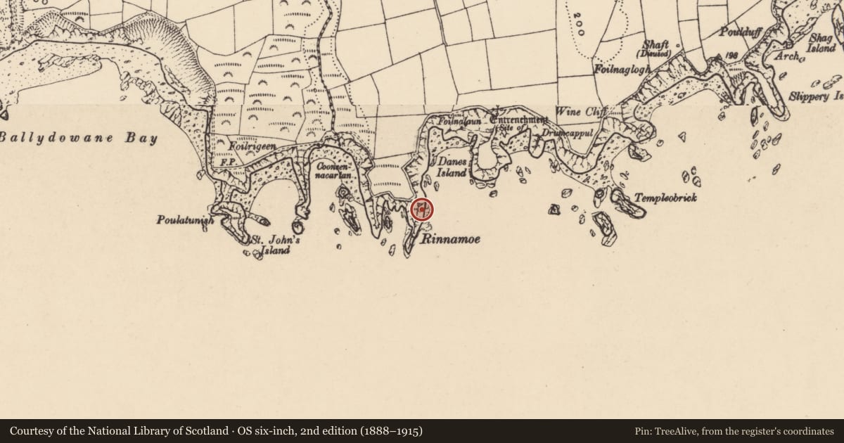 Ordnance Survey six-inch map, 2nd edition (1888–1915) covering the location of Promontory fort - coastal, Ballynarrid, County Waterford, with a pin at the register's coordinates