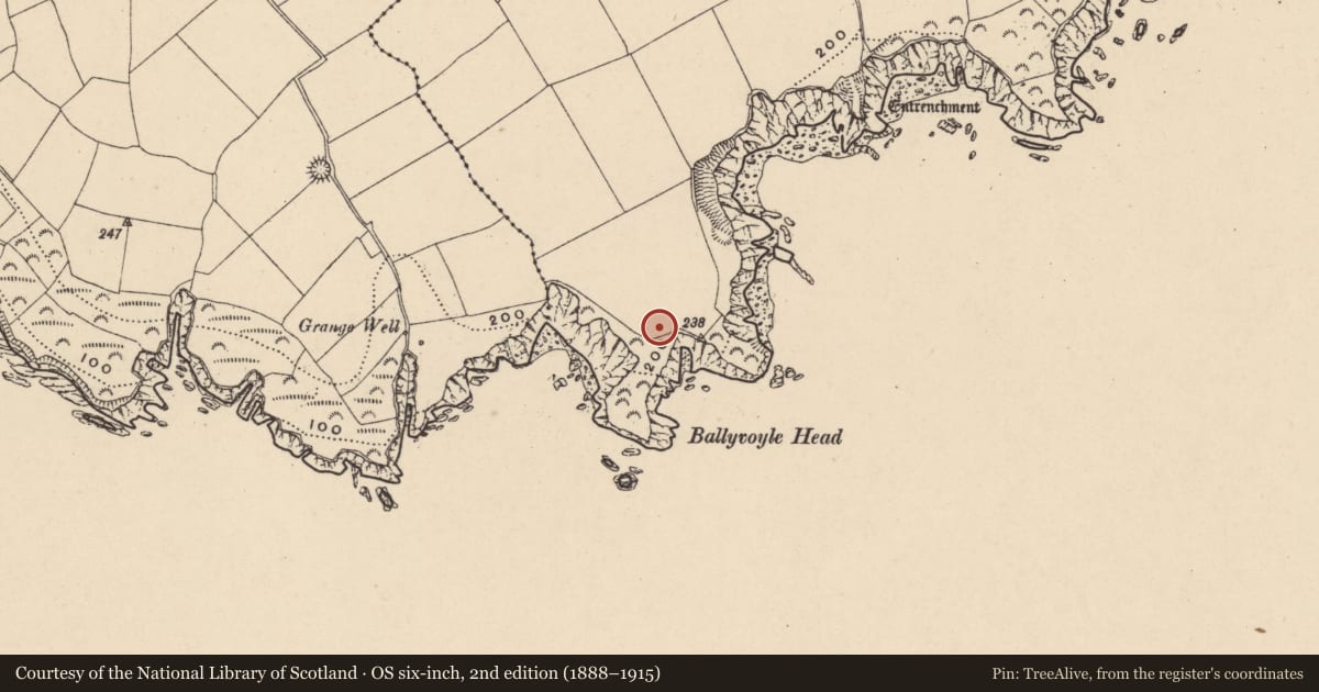 Ordnance Survey six-inch map, 2nd edition (1888–1915) covering the location of Signal tower, Islandhubbock, County Waterford, with a pin at the register's coordinates