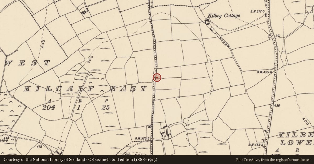 Ordnance Survey six-inch map, 2nd edition (1888–1915) covering the location of Boundary stone, Kilbeg Upper, Kilcalf East, County Waterford, with a pin at the register's coordinates