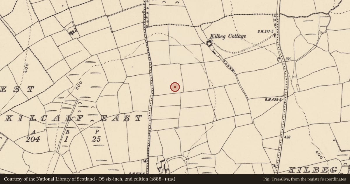 Ordnance Survey six-inch map, 2nd edition (1888–1915) covering the location of Standing stone - pair, Kilbeg Upper, County Waterford, with a pin at the register's coordinates