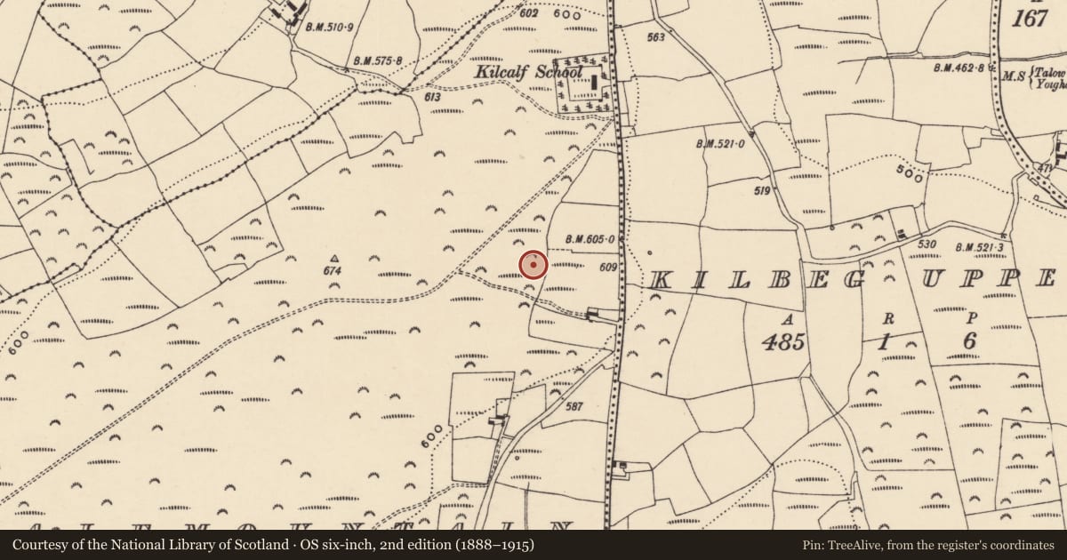 Ordnance Survey six-inch map, 2nd edition (1888–1915) covering the location of Standing stone - pair, Kilcalfmountain, County Waterford, with a pin at the register's coordinates