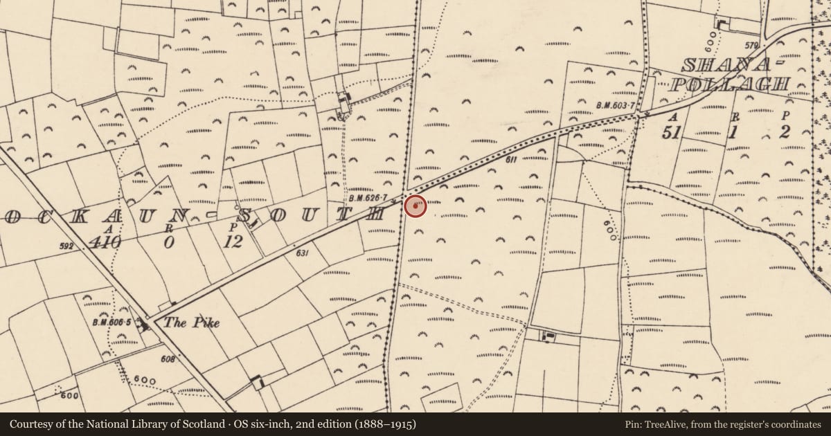 Ordnance Survey six-inch map, 2nd edition (1888–1915) covering the location of Cairn - unclassified, Lyrenacarriga, County Waterford, with a pin at the register's coordinates