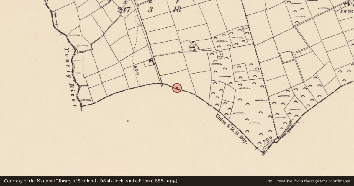 Ordnance Survey six-inch map, 2nd edition (1888–1915) covering the location of Linear earthwork, Glennaglogh, County Waterford, with a pin at the register's coordinates