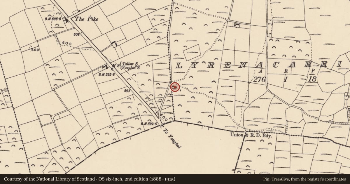 Ordnance Survey six-inch map, 2nd edition (1888–1915) covering the location of Standing stone, Lyrenacarriga, County Waterford, with a pin at the register's coordinates