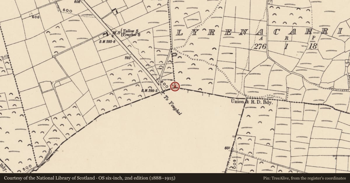 Ordnance Survey six-inch map, 2nd edition (1888–1915) covering the location of Boundary stone, Knockaun South, Lyrenacarriga, County Waterford, with a pin at the register's coordinates