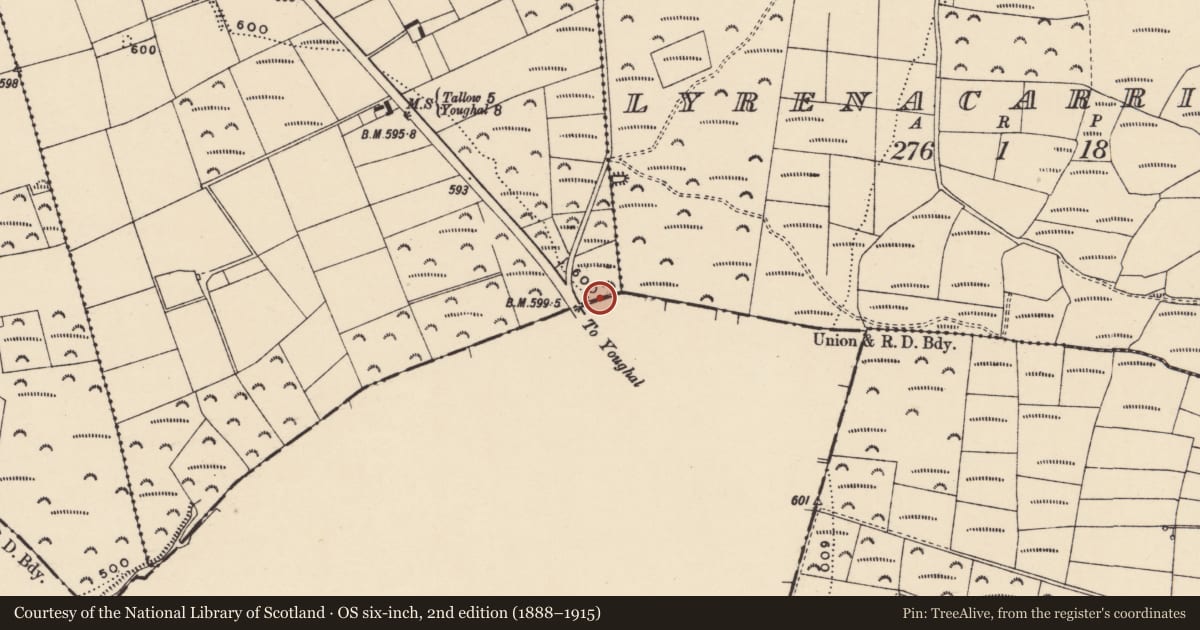 Ordnance Survey six-inch map, 2nd edition (1888–1915) covering the location of Linear earthwork, Knockaun South, County Waterford, with a pin at the register's coordinates