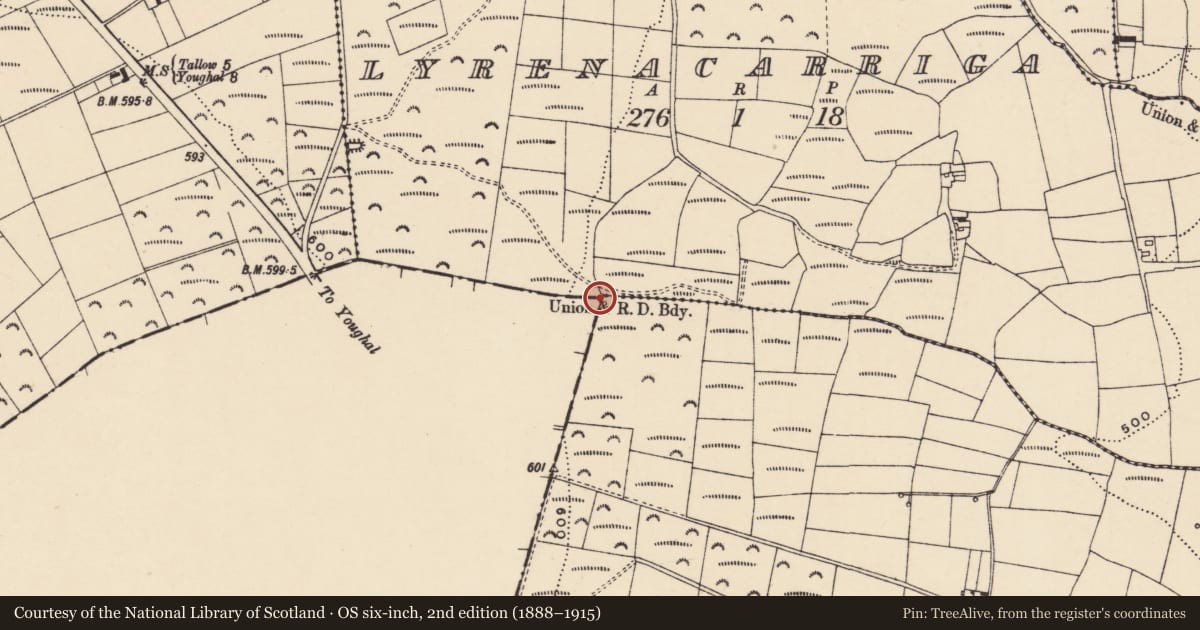 Ordnance Survey six-inch map, 2nd edition (1888–1915) covering the location of Boundary stone, Lyrenacarriga, Ballynatray Commons, County Waterford, with a pin at the register's coordinates