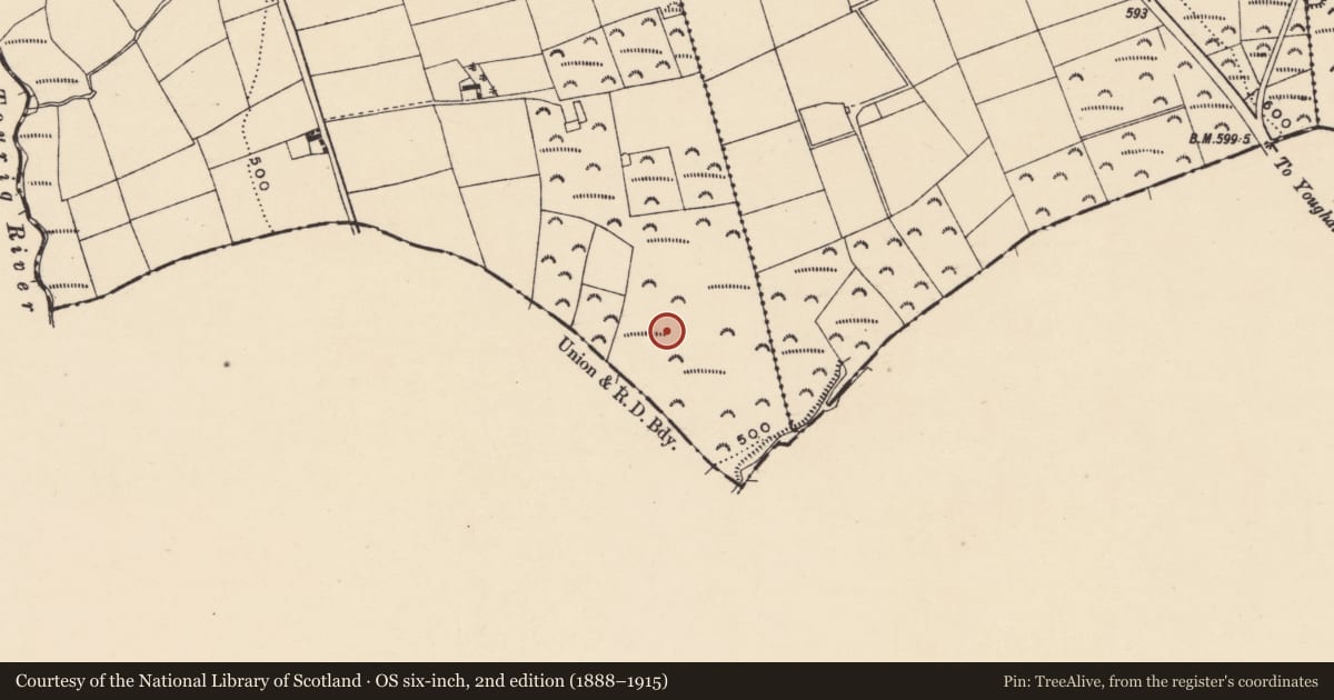 Ordnance Survey six-inch map, 2nd edition (1888–1915) covering the location of Burial ground, Glennaglogh, County Waterford, with a pin at the register's coordinates