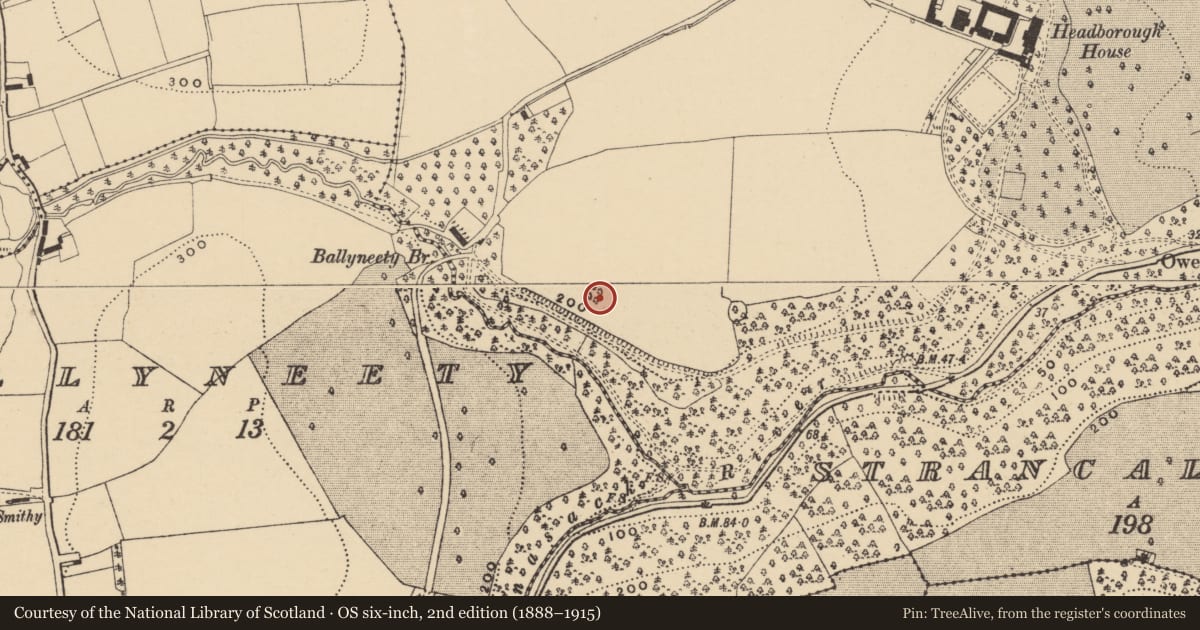 Ordnance Survey six-inch map, 2nd edition (1888–1915) covering the location of Designed landscape - tree-ring, Headborough, County Waterford, with a pin at the register's coordinates