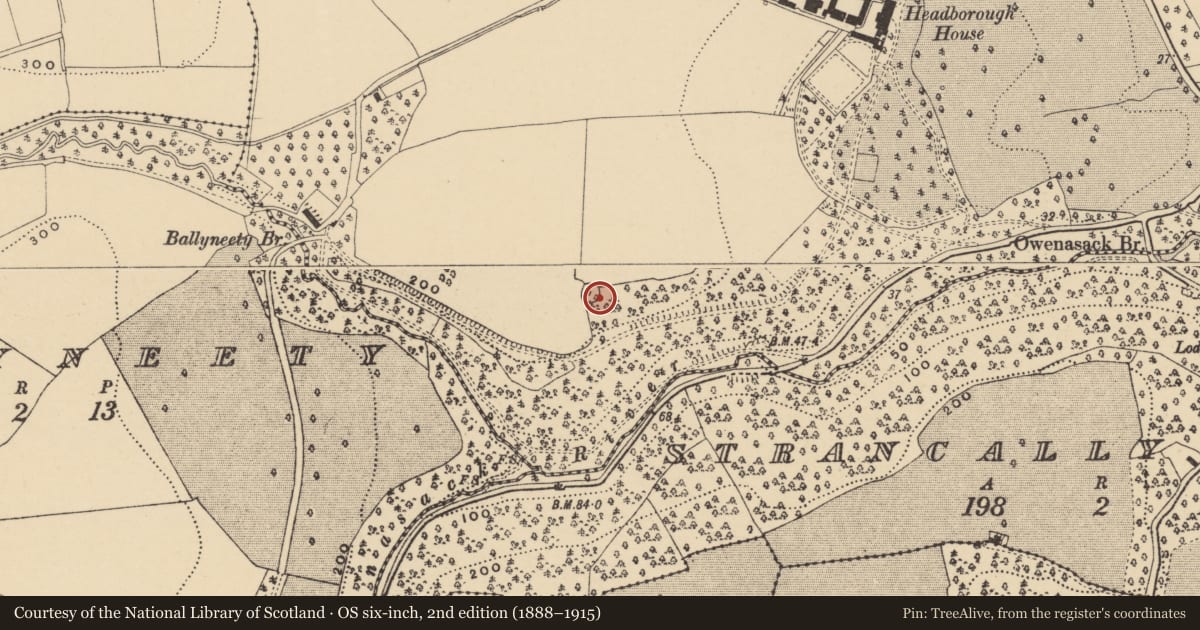 Ordnance Survey six-inch map, 2nd edition (1888–1915) covering the location of Ringfort - rath, Headborough, County Waterford, with a pin at the register's coordinates