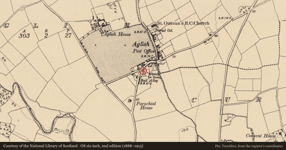 Ordnance Survey six-inch map, 2nd edition (1888–1915) covering the location of Cross - Wayside cross, Aglish, County Waterford, with a pin at the register's coordinates