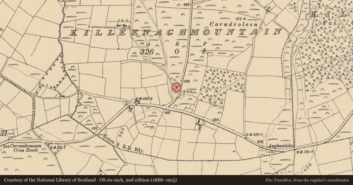 Ordnance Survey six-inch map, 2nd edition (1888–1915) covering the location of Pit-burial, Killeenaghmountain, County Waterford, with a pin at the register's coordinates
